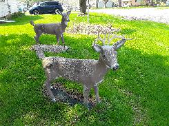 Concrete Deer Yard Statues