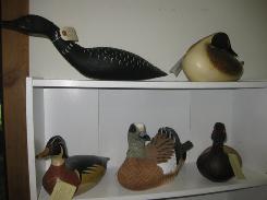   DUCK DECOY COLLECTION