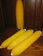 Corn Decoys