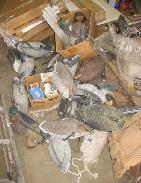 Duck Decoys