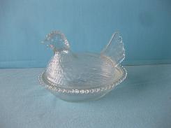 Iridescent Hen on Nest