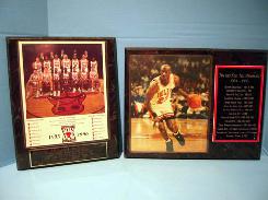 Chicago Bulls Plaques