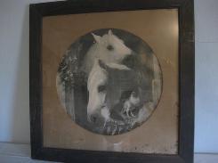 Early Horse and Pigeon Photo 