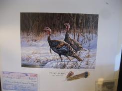 Don Moore Wildlife Pictures