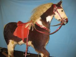 Miniature Pony Rocking Horse