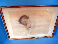 Bessie Pease Gutmann Collection 