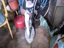 Lawn Jockey