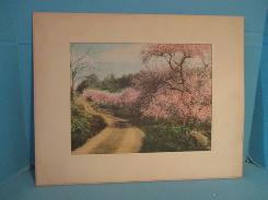 Wallace Nutting Litho