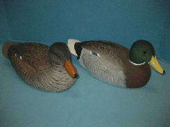 Mallard Pair of Ducks