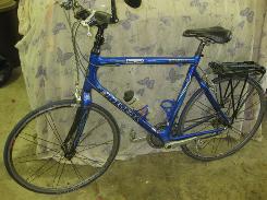      Trek Pilot 5.2 Road Bike