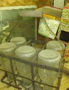 Milk Bottle Wire Carrying Case 