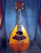  George Washburn Bowl Back Mandolin
