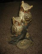 Owl Collection