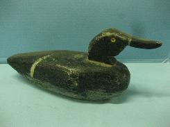 Black Duck Decoy
