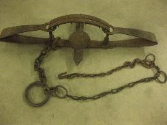  Newhouse No. 6 Grizzly Bear Trap 