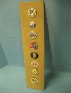 Political Pin Back Collection