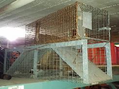 Live Animal Traps 