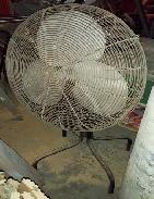 Pedestal Shop Fan 