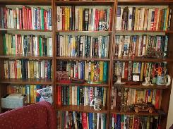 Large Book Collection