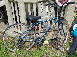 Trek Mountain Bike 