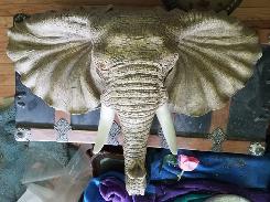 Elephant Collection