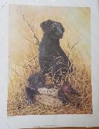 Shanon Anderson Signed Prints