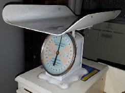 American Family Nursery Scale 