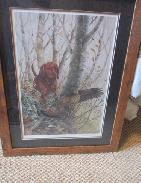 Wildlife Art Work Collection