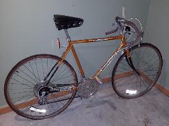 Murray Phoenix 10 Speed Men's Bicycle
