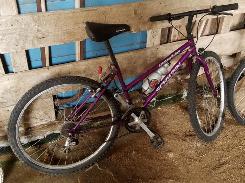  Schwinn High Plains Women's Mountain Bike