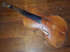 Violin 