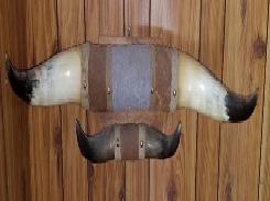 Texas Long Horn Mount 
