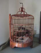 Wicker Bird Cage