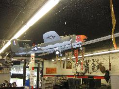 Large Scale RC Airplanes