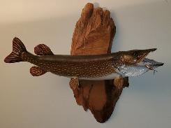 Northern Pike Wall Mount