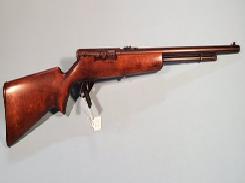 Ranger 101.16 Semi-Auto Rifle