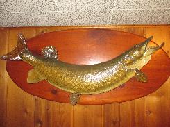 Muskie Mount