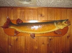 Walleye Mount