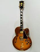 Penco Model-E22 Electric Guitar