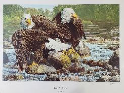 Wildlife Artwork & Prints