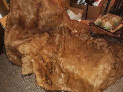 Horse Hair Buggy Robe