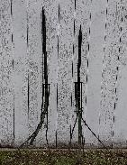 Old Lighting Rods