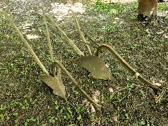 Old 1-Horse Walking Plows