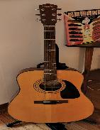 Fender 6 String Acoustic Guitar
