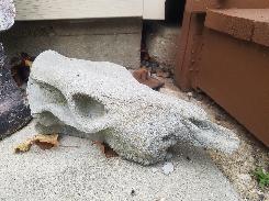 Cement Cattle Skull