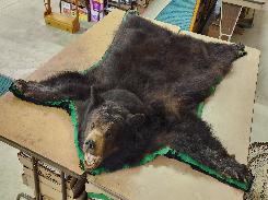 Black Bear Rugs