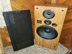 Pair of Pioneer Tall Speakers