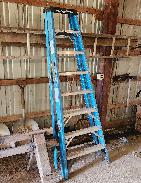 Werner 8 Fiberglass Step Ladder