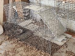 Live Animal Wire Cage Traps