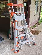 Select Step Little Giant Ladder